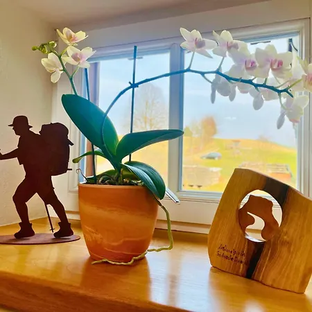 Winterbergblick, Nationalpark Saechsische Schweiz, 5 Und Gemeinschaftsraum, Boulderraum Und Sauna Im Haus Apartment
