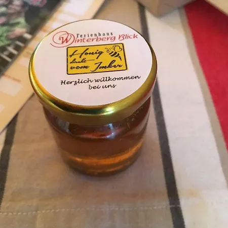 Winterbergblick, Saechsische Schweiz Apartament *